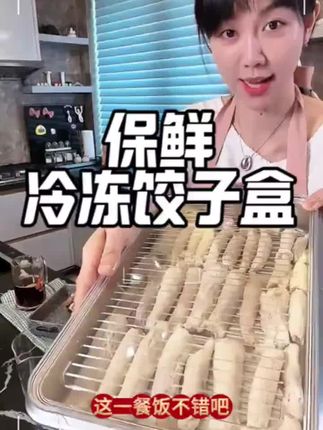 #饺子盒#冷冻饺子盒 #饺子盒