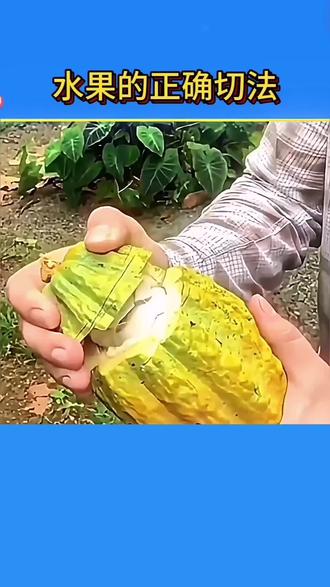 这才是水果的正确切法,看看你知道几个?#生活小窍门 #水果的正确切法