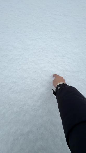 好丑的派大星❄️#雪地画教程