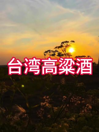 600毫升一瓶的台湾高粱酒,今天这个价格闭眼入了#口粮酒 #好酒 #中老年宝藏单品 #喝就完了 #纯粮酿造