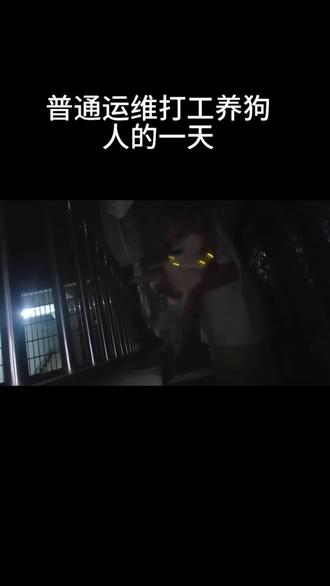 今日心情甚好😁
#挑战自媒体100天 #普通的一天 #养狗人的生活 #遛狗日常