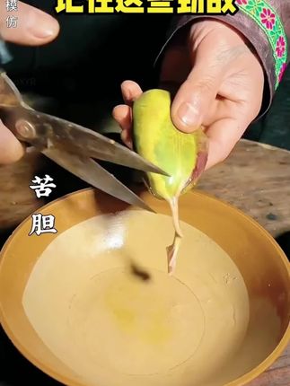 这也太狂了吧,敢把美白印在包装上的牙膏!#bop牙膏 #bop色修牙膏