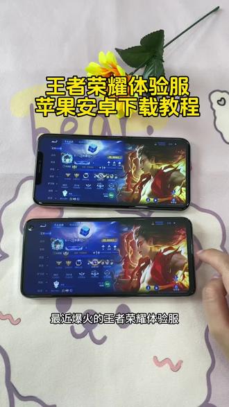 《二新宝库》王者荣耀体验服苹果安卓下载教程!#王者荣耀体验服怎么下载 #王者荣耀体验服安卓怎么下载 #王者荣耀体验服ios怎么申请资格 王者荣耀体验服苹果怎么下载 王者荣耀体验服在哪里下载