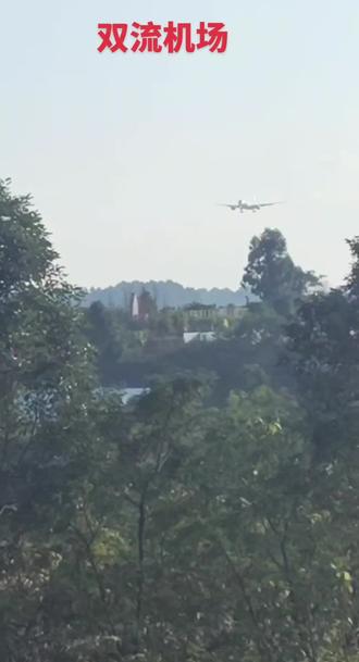 在成都双流机场正看飞机降落