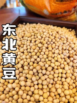 #东北寒地黑土种植的黄豆,颗颗均匀饱满#五谷杂粮 #强烈推荐 关键才这个价#超便宜超划算