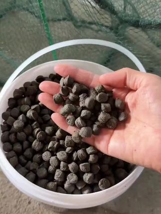 #地笼爆护饵料 #黑蚯蚓颗粒