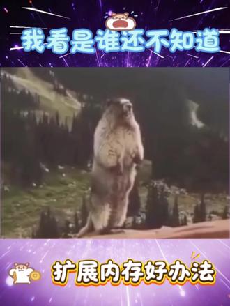 Moto手机使用小技巧 我看是谁还不知道#联想
#天禧AI一体多端 #moto#实用小技巧 #上热门抖音小助手