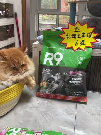 笑宠R9湿粮活动了,拍一袋4.8斤装的送主食罐头,拍12斤的送编织猫窝#萌宠好物 #养猫新手 #吃货猫 #笑宠