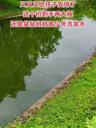 袋鼠妈妈青少年洗发水专为初高中学生,设计,控油去屑效果嘎嘎好,孩子运动过,后也能保持头皮清爽、发丝飘逸,男孩女孩都喜欢#青少年洗发水#学生党#袋鼠妈妈 #生活必备