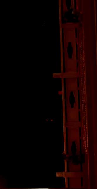 来自水母烟花的震撼感#烟花 #寻找年味