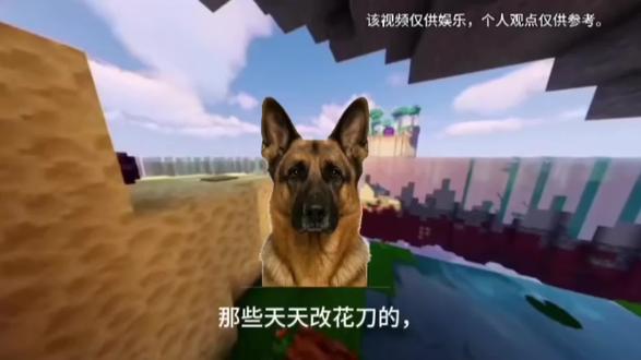锐评网上天天改花刀的人#德牧哥 #锐评#吐槽#炸鱼