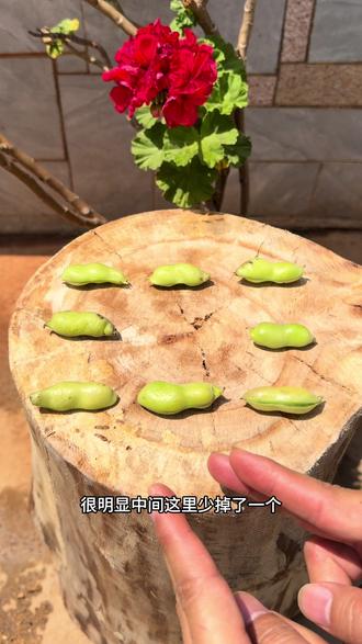 豆子是如何神奇无中生有的,你看懂了吗?#动手动脑 #魔术 #脑力开发 #思维训练