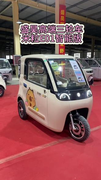 可以用手机操控的三轮车盛昊米粒e01智能版 #同城热点 #原创视频 #免费试驾 #盛昊米粒E01 智能版#三轮车