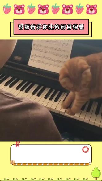 番茄音乐你让我刮目相看#番茄音乐