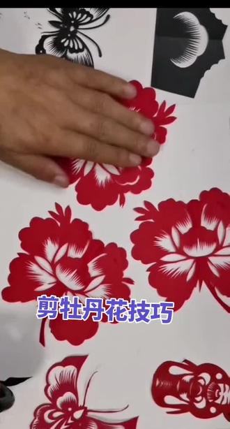 跟牡丹花的注意事项,每天清晨5:50直播,你知道吗?