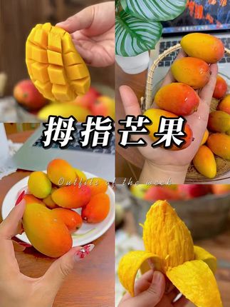 云南拇指芒纯甜!!2斤差不多30个,爆甜爆多汁#妈呀太香了 #应季水果 #好吃到停不下来 #芒果 #一口爆汁