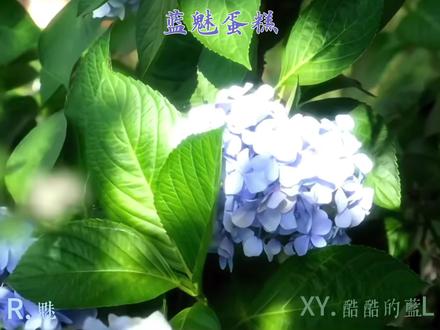 是很好很好的第一次见面
是在属于蓝魅蛋糕的记录册上浓墨重彩的一笔
永远幸福 永远快乐
永远期待下一次见面
#蓝魅蛋糕 #xy酷酷的蓝 #r魅