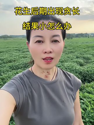 花生到了后期还出现贪长下边果小怎么办,给大家分享一个后期膨果的方法,推荐咱们用针对地下根茎类作物的膨大剂,可以让小果变大果,瘪果变饱果从而提高产量#三农 #农业种植 #知识分享 #创作者扶持计划 #原创视频