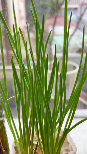 柚子|一天一道菜 金沙豆腐煲☺️ 豆制品脑袋表示 好吃耶~
#厨神日记 #家常菜
#晚饭吃什么 #豆腐的神仙吃法 #我爱烧菜