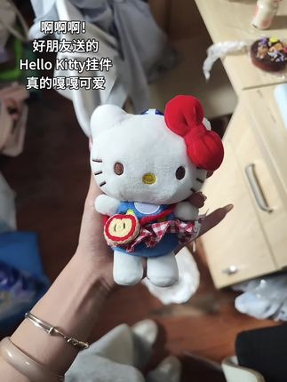 无所谓 我的好朋友刷到也会给我安排的~ #毛绒玩具 #挂饰挂件 #也太可爱了吧 #hellokitty #礼物推荐