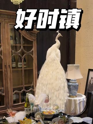 必抢!新店南宋御街新店好时镇!人均两位数这个环境就值了!#南宋御街 #漂亮饭 #拍照餐厅 #杭州吃喝玩乐#宝藏小店
