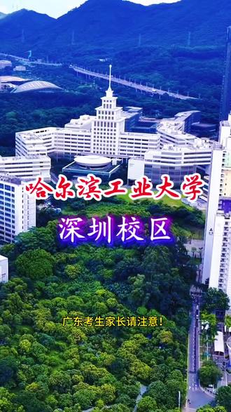 深圳的大学—哈工大#985院校 #哈工大 #深圳的大学 #提前批 #升学规划