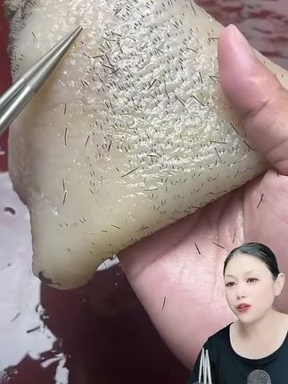 #【顶配大马力】家禽拔毛器电动去鸡鸭鹅毛神器充电家商用脱毛机#拔毛神器#拔毛神器推荐#鸡鸭鹅拔毛神器#拔毛机 #猪牛羊拔毛神器