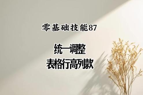 告别宽窄不一,3步统一表格尺寸,高效办公3秒让整个表格服服帖帖。#零基础学表格 #电脑知识 #涨知识
