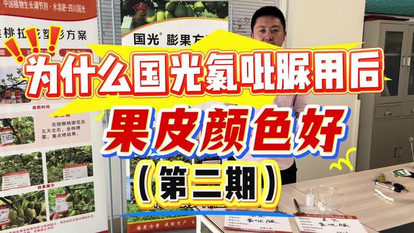 #猕猴桃#氯吡脲 因为专业,所以果皮颜色好