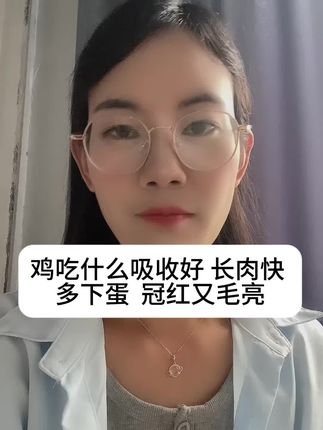 鸡吃什么吸收好长肉了快多下蛋冠红毛亮#涨知识 #三农 #养鸡 #养鸡人 #科学养鸡知识分享