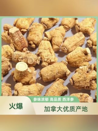 西洋参加拿大进口花旗参3-4克/果粒高品质味浓郁甘甜泡水煲汤常备#草本植物#健康养生#养生茶@抖加🔥上热门🔥dou+🔥热点宝