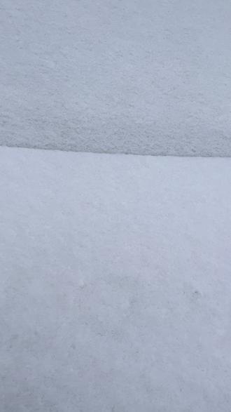 #车上画雪 #派大星 画成胖大星了