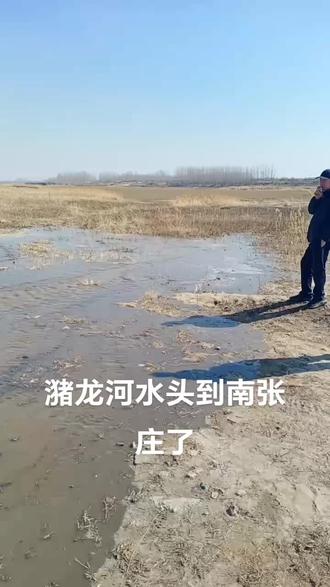 潴龙河来水了水头位置南张庄