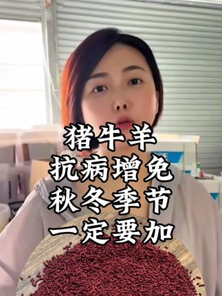 三效合一的芪板青颗粒! 特别添加黄芪、金银花!33发两包!99发8包,可拌料可饮水!,猪牛羊鸡鸭鹅哪哪儿都用得上!一定要拍