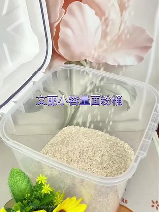 文丽小容量面粉桶,烘焙专用储存罐,家用食品密封米粉面粉收纳神器