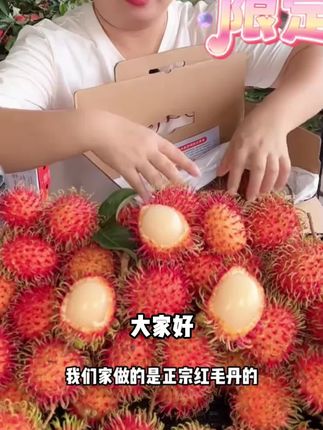 【顺丰速运】海南红毛丹新鲜应季毛胆果毛荔枝水果现摘现发包邮