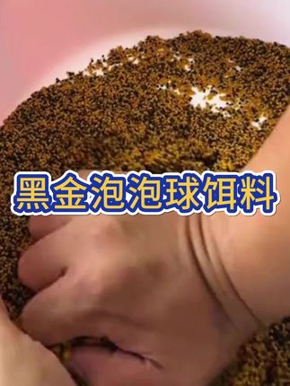 黑金泡泡球,不用粘粉蜘蛛丝,狂打不会碎,无限回锅鱼必备饵料 #黑坑钓鱼 #黑坑盘老板 #无限回锅鱼 #爆护饵料 #黑坑