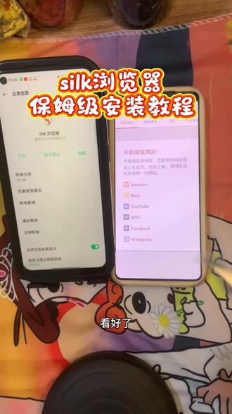 《岩哥资源》silk浏览器下载教程来了#silk #Silk #Silk下载 #Silk浏览器 #浏览器@