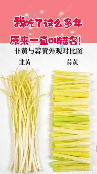 韭黄和蒜黄,你能分得清吗?#年夜饭 #买菜小知识 #买菜不踩坑 #认菜名 #日常生活