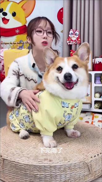 宠物狗狗雨衣四脚全包防水防脏泰迪柯基专用中型犬狗雨天遛狗雨衣#萌宠日常记录 #谁家小狗像个小宝宝 #携宠出游 #宠物雨衣 #宠物衣服