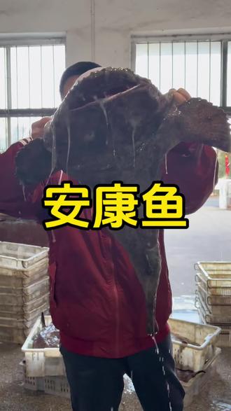 安康鱼 吃鱼虾长大的深海鱼味道鲜美,肉里没有刺,没有土腥味怎么做都好吃,快来尝尝吧#安康鱼 #海鲜 #美食