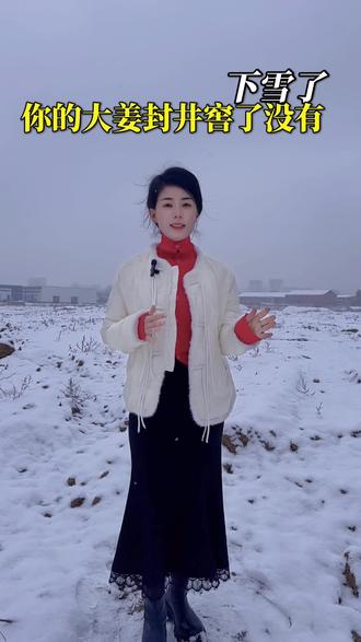 下雪了,你的大姜封井窖了没有#烟熏剂