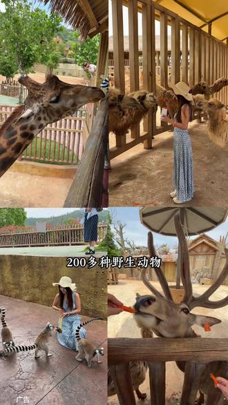 江西省内就能看到200多种动物的旅游度假区 #萌狮叫醒解锁酒店新体验 #519中国旅游⽇ #丰城#唯美养生谷旅游度假区 #动物世界