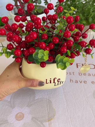 #红果 又叫发财果,放在家里不仅美观,而且还很喜庆,寓意红红火火,幸福美满,尤其是过年或者乔迁新居的摆上一盆太合适了#摆件装饰#发财果