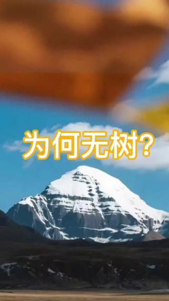 为何无树?听听乘务员怎么说#西藏 #乘务员 #大株红景天胶囊 #高反必备药