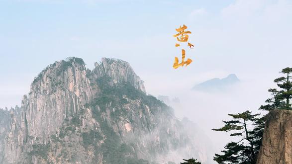 雾雨中的黄山是流动的宋画。十一岁的女儿停下,一只松鼠正捧着松果端详她。
“它是画里的活笔触。”她轻声说。
在满纸云烟的水墨里,这毛茸茸的小生灵成了最生动的落款。女儿用目光追着它跃过湿漉漉的岩石——那尾巴扫开的,仿佛是千年的留白。
下山时,她往石上放了半块饼干。原来我们走进的并非古画,而是一个会呼吸、会眨眼,甚至期待着一口甜意的世界。#爬黄山 #登山 #原创视频 #迎客松 #云海