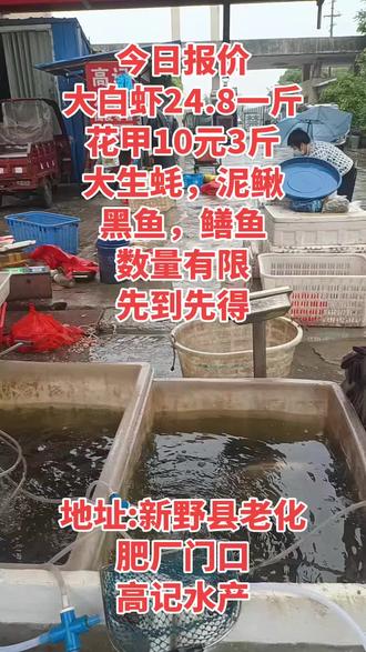 #高记海鲜水产#水产供应点 #