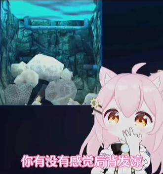 小菲之间的竞争😭#永雏塔菲