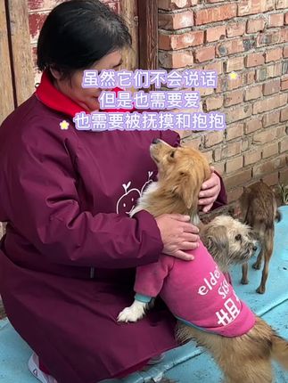 #流浪狗救助善待生命 #流浪狗家园