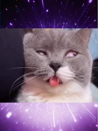 系统软件卸载怎么找回#天禧AI一体多端 #联想#小技巧#上热门#moto